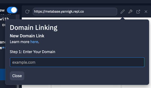 Image of Replit Custom Domain Text Input