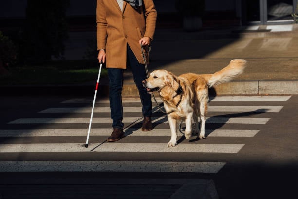 Making an Effective Pathway for Blind People with the Help of
Object Detection and Voice Command