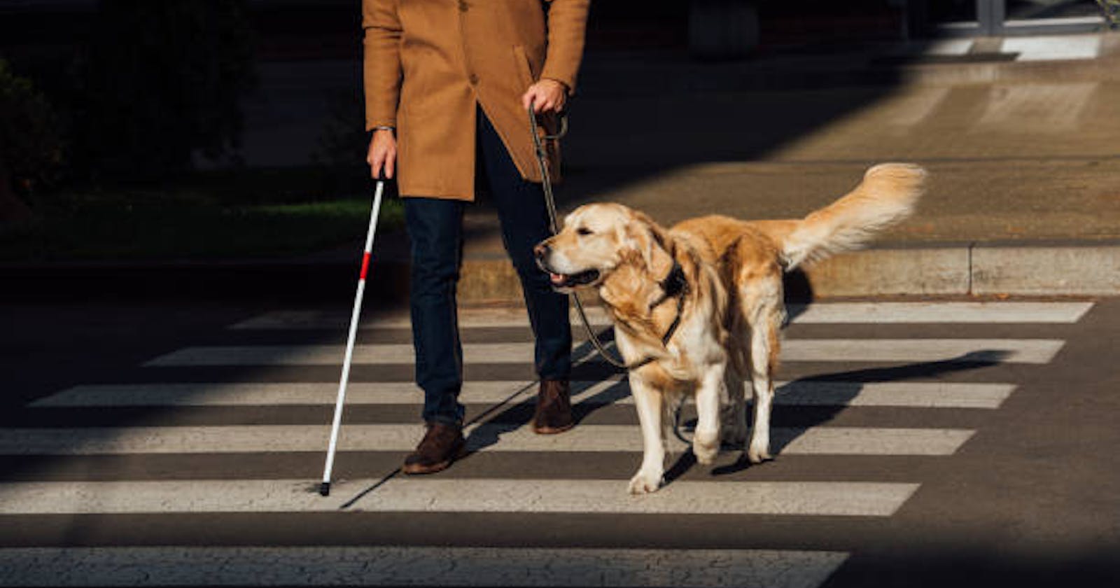 Making an Effective Pathway for Blind People with the Help of
Object Detection and Voice Command
