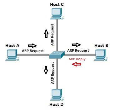 arp_process.jpg