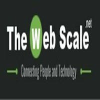 The Web Scale's photo