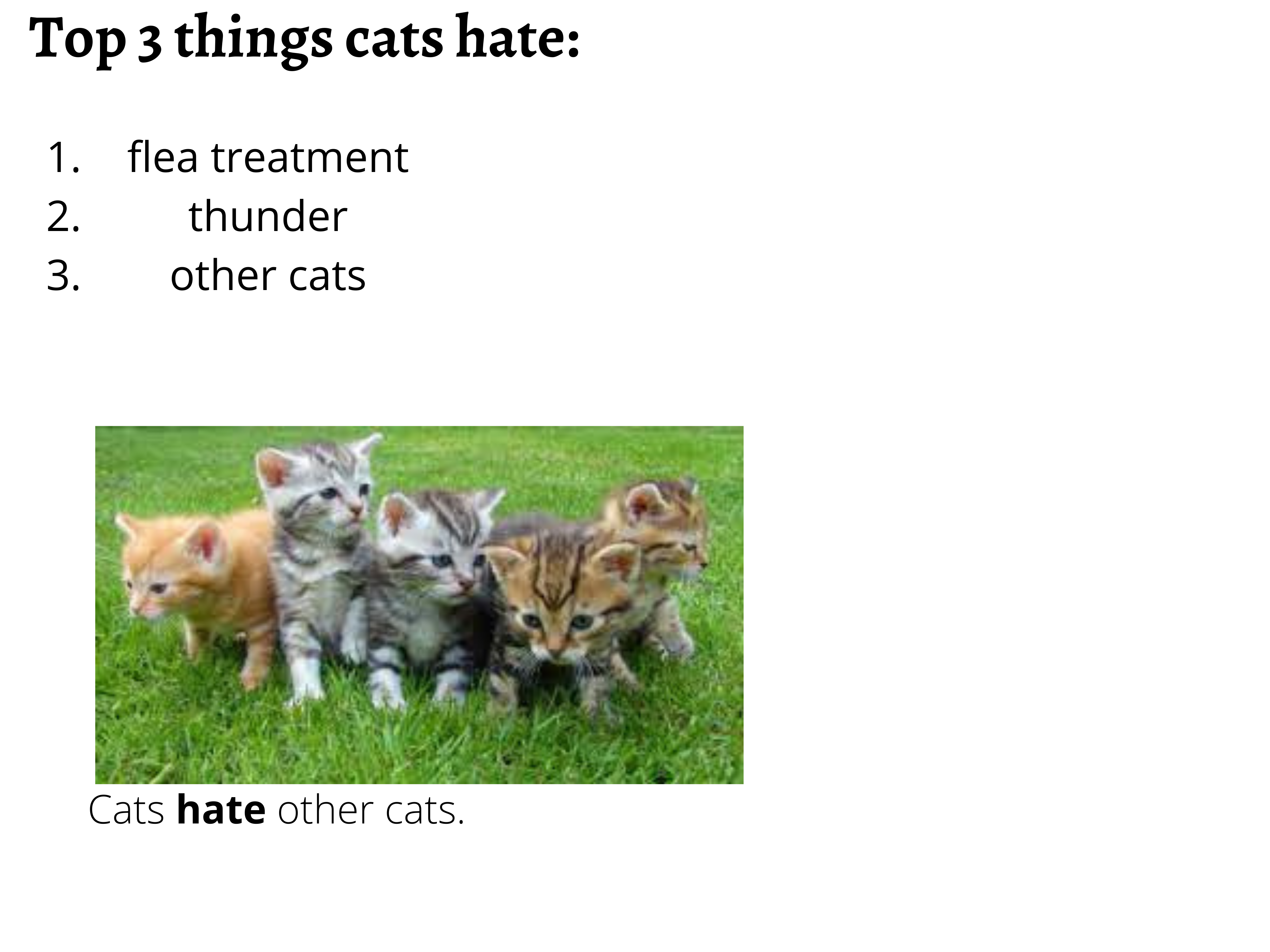 Top_3_things_cats_hate[1].png