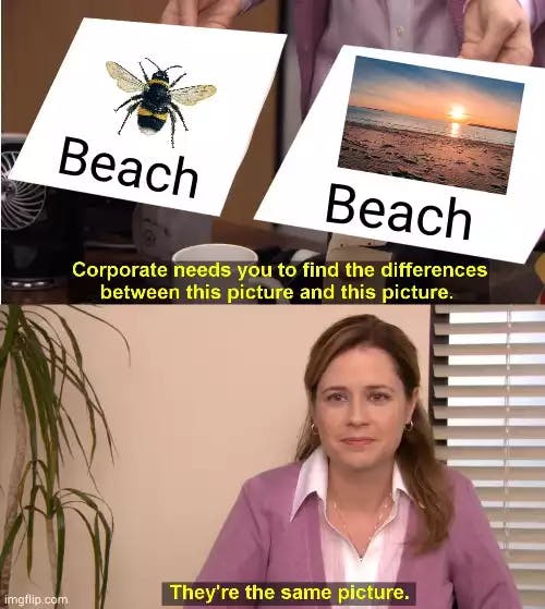 beach-meme