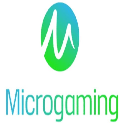 Micro Gaming's photo