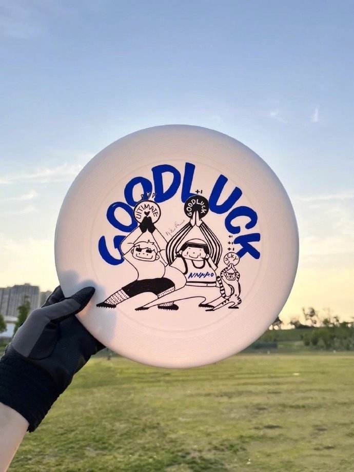 disc.jpg