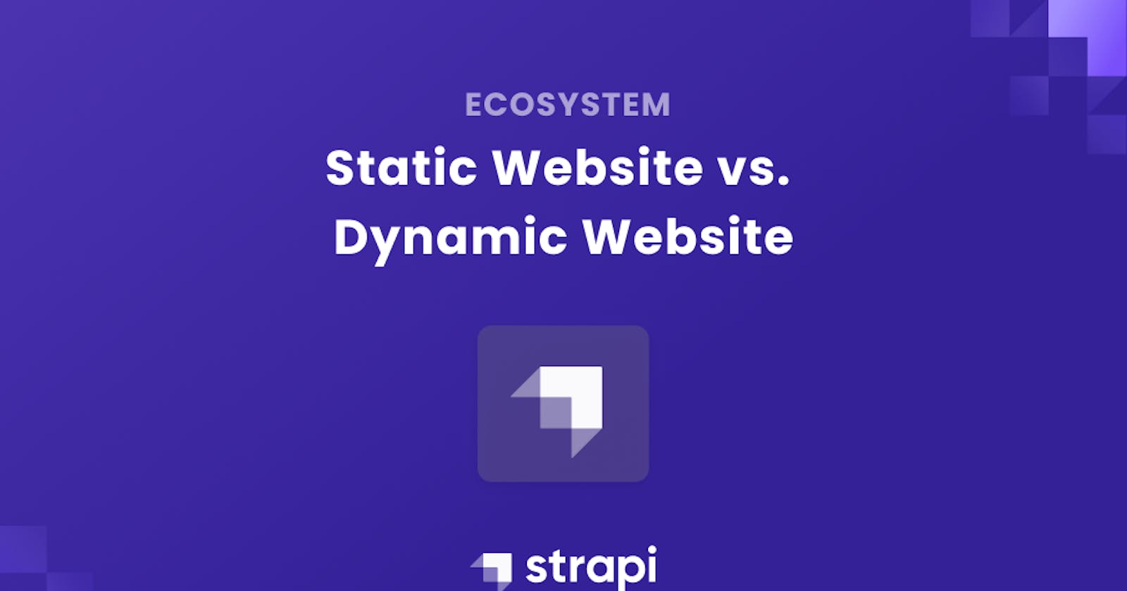 Static Website vs. Dynamic Website