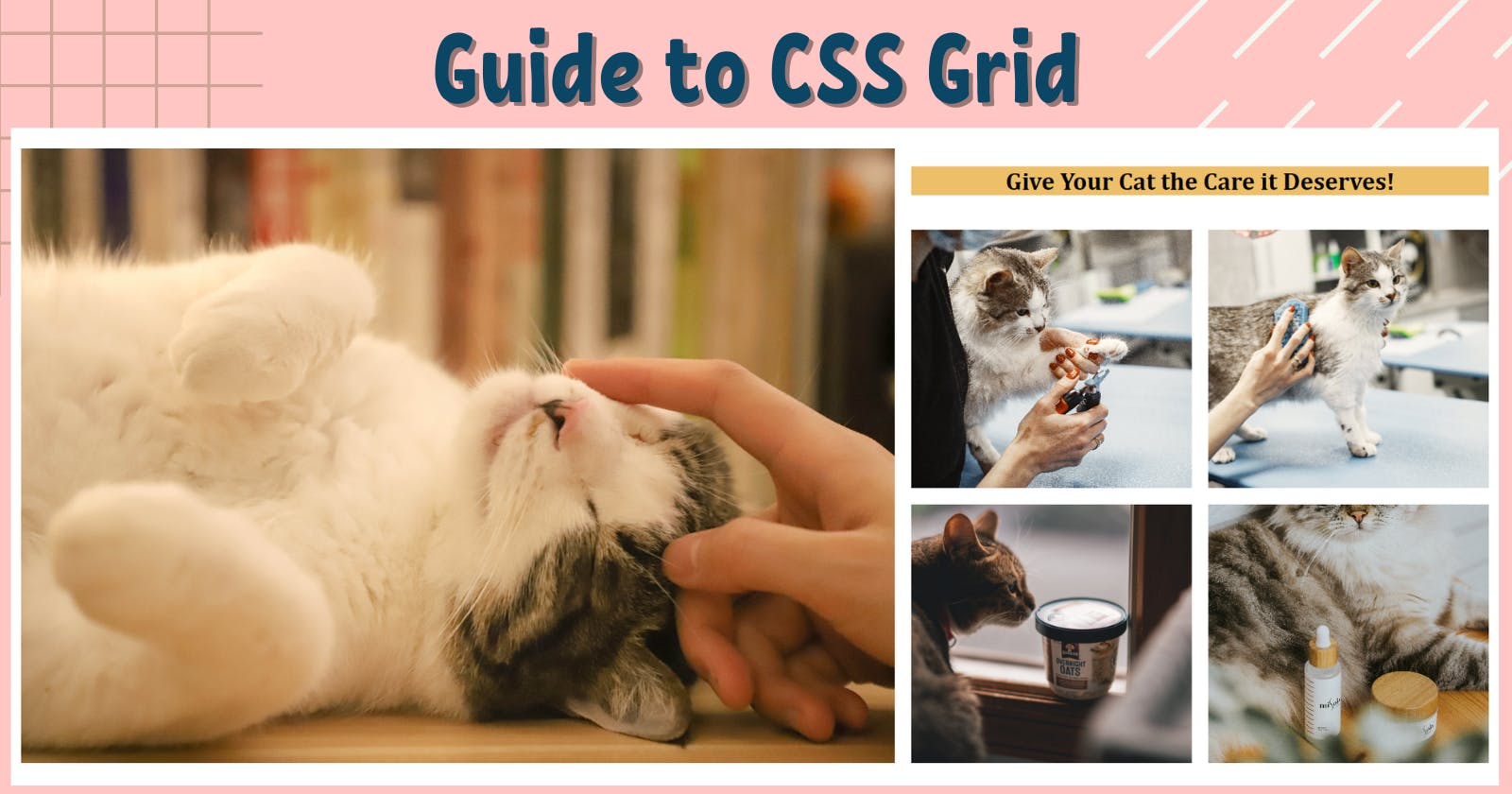 Learn CSS Grid while building a layout! 😺