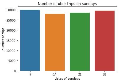 trips counts on sundays.png