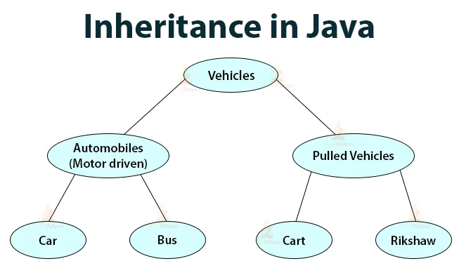 inheritance-in-java.webp