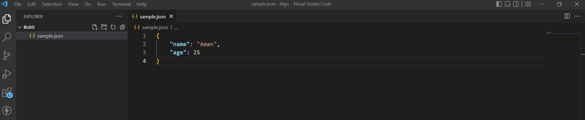 image of vscode showing a json file
