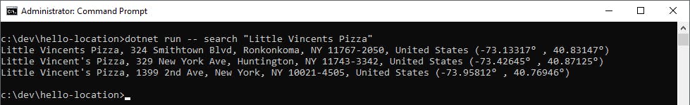 dotnet-run-search-name-pizza.png