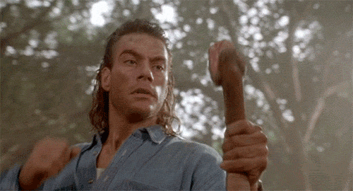 Van Damme matando a cobra