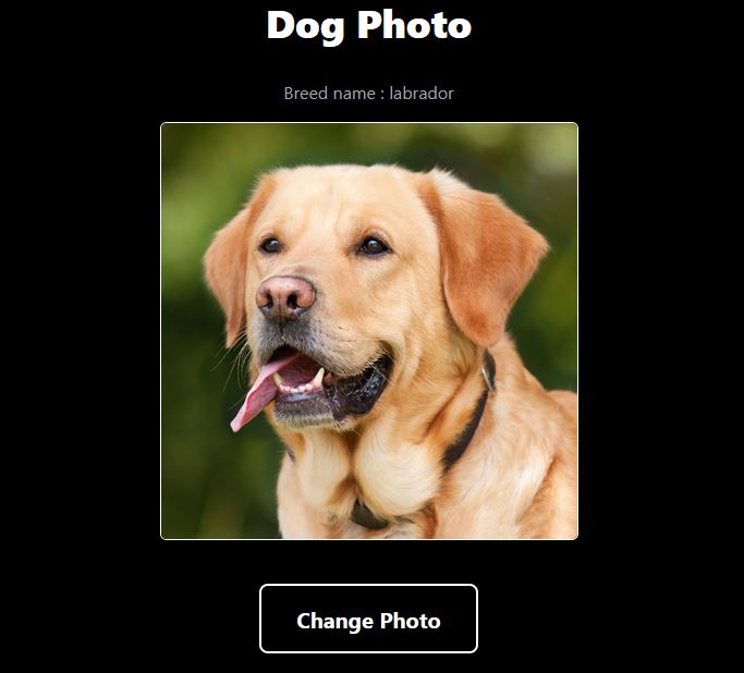 labraDogApi.JPG