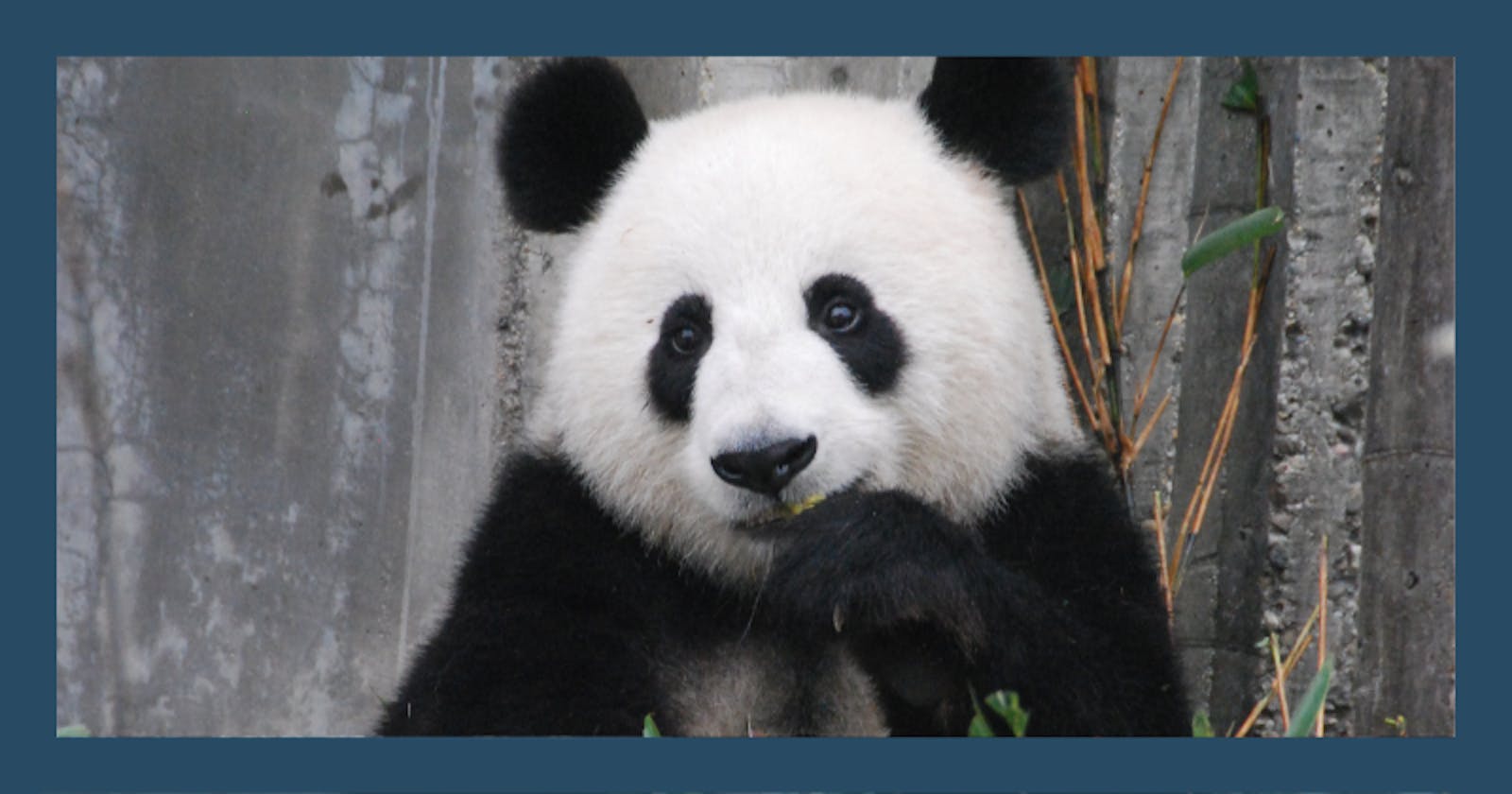 How to run Pandas in AWS Batch