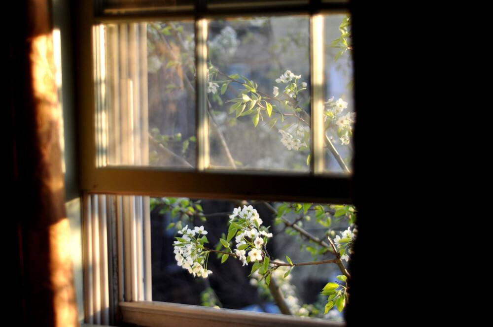 outwindow.jpg