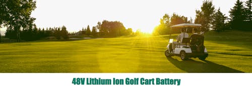 48V Lithium Ion Golf Cart Battery's photo