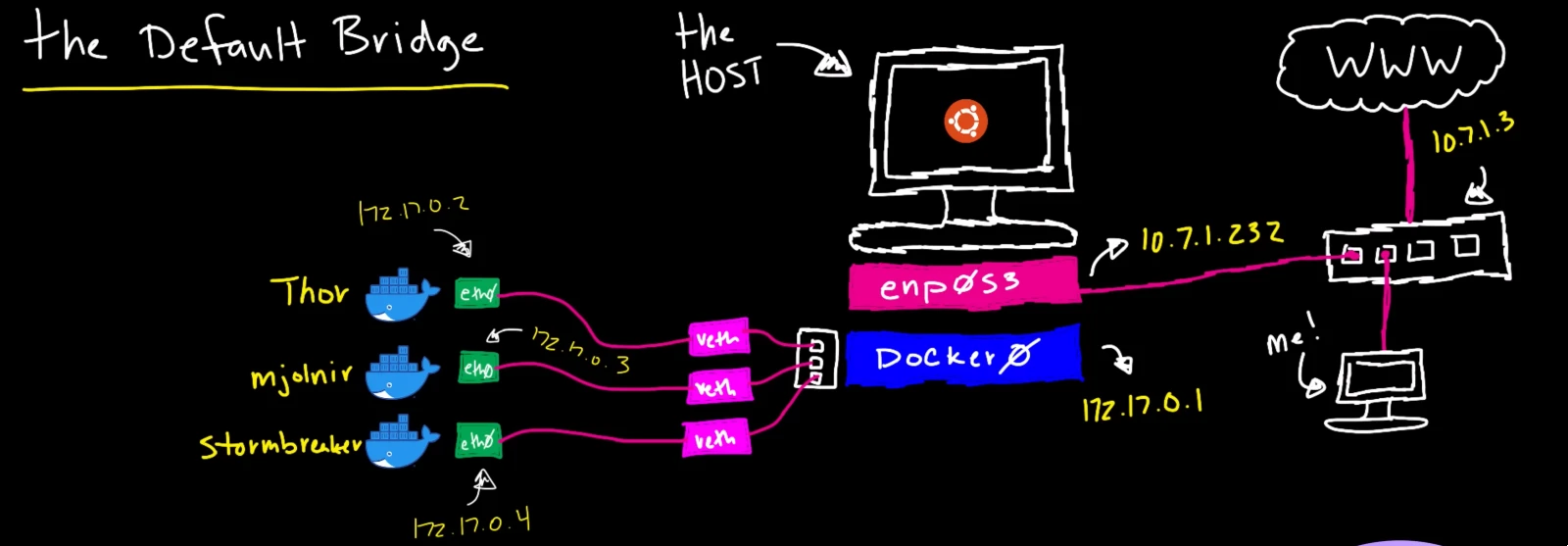 Docker Bridge Network