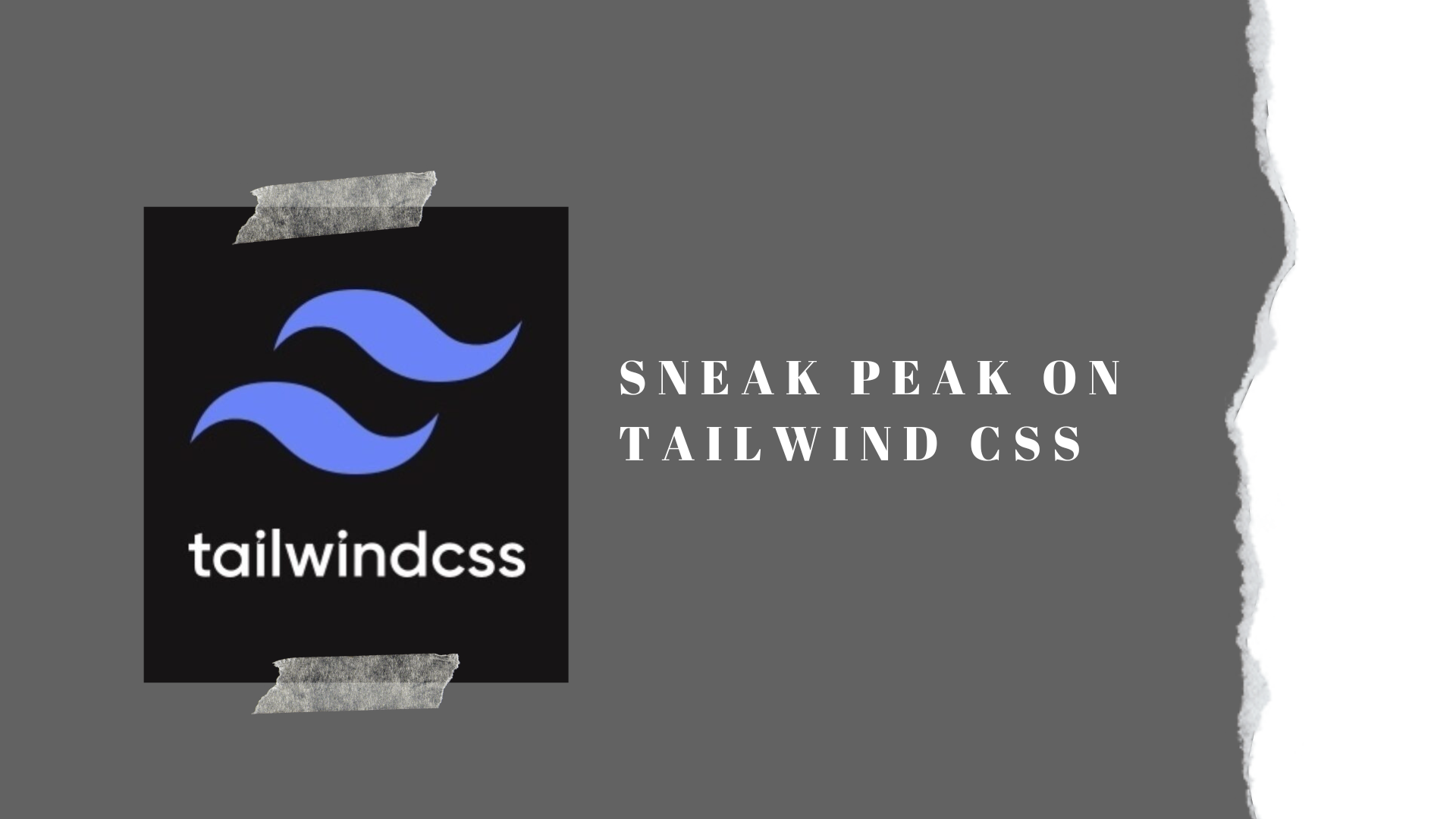 TAILWIND CSS - only for absolute beginners