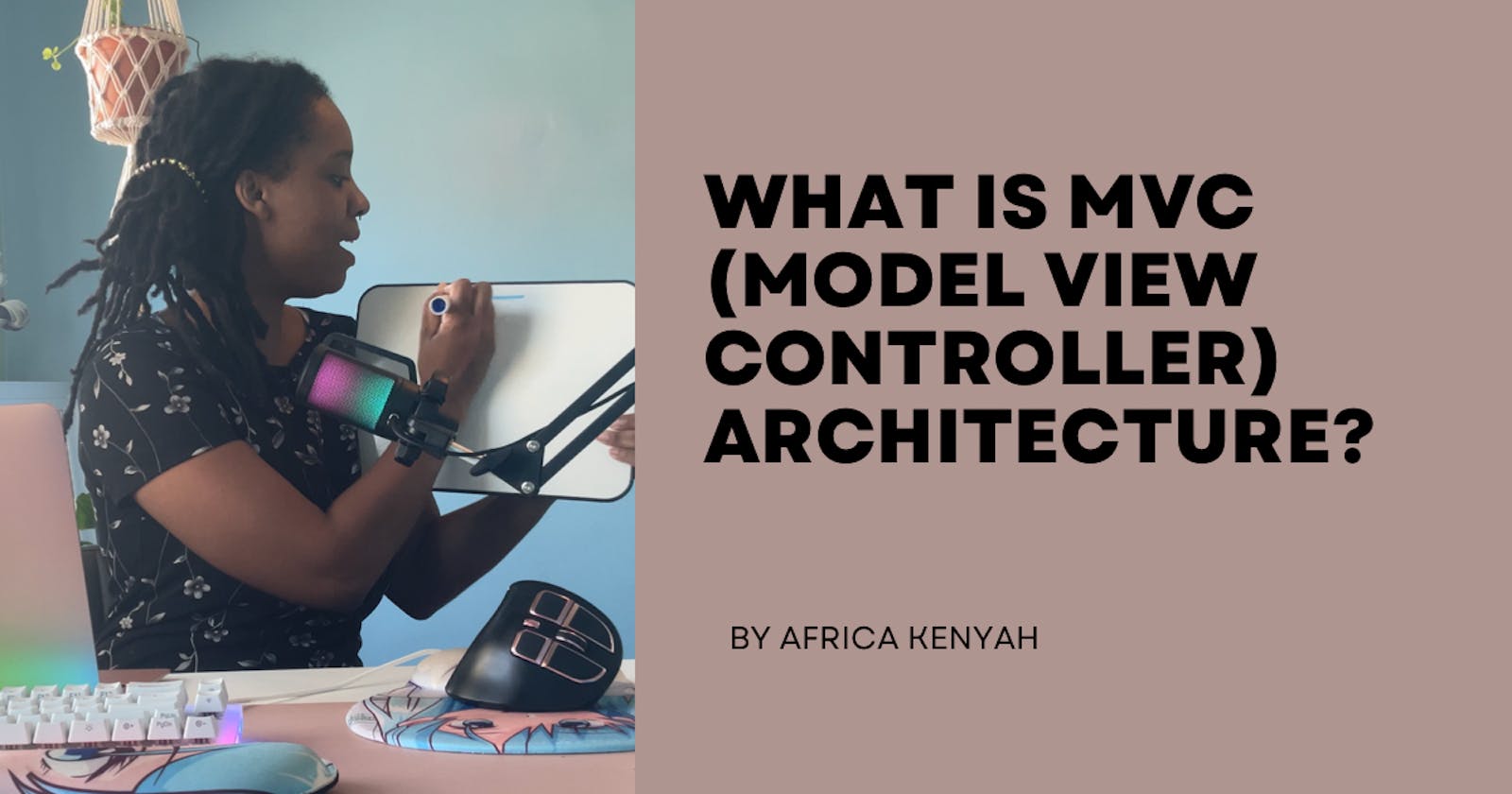 What is MVC (Model View Controller) Architecture?