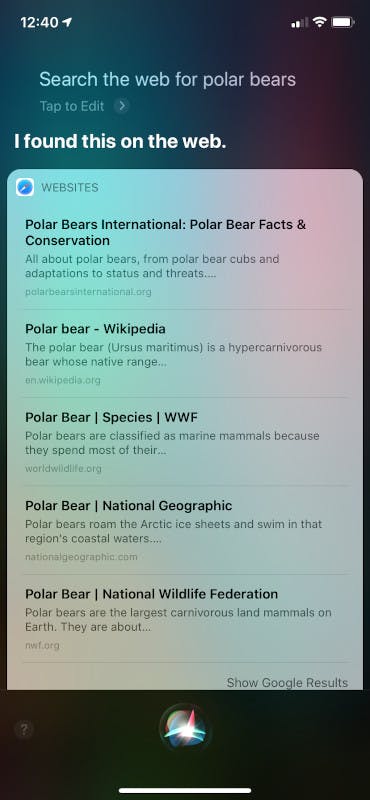 polar bears.jpeg