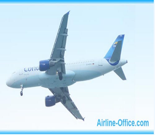 Airline Office's photo