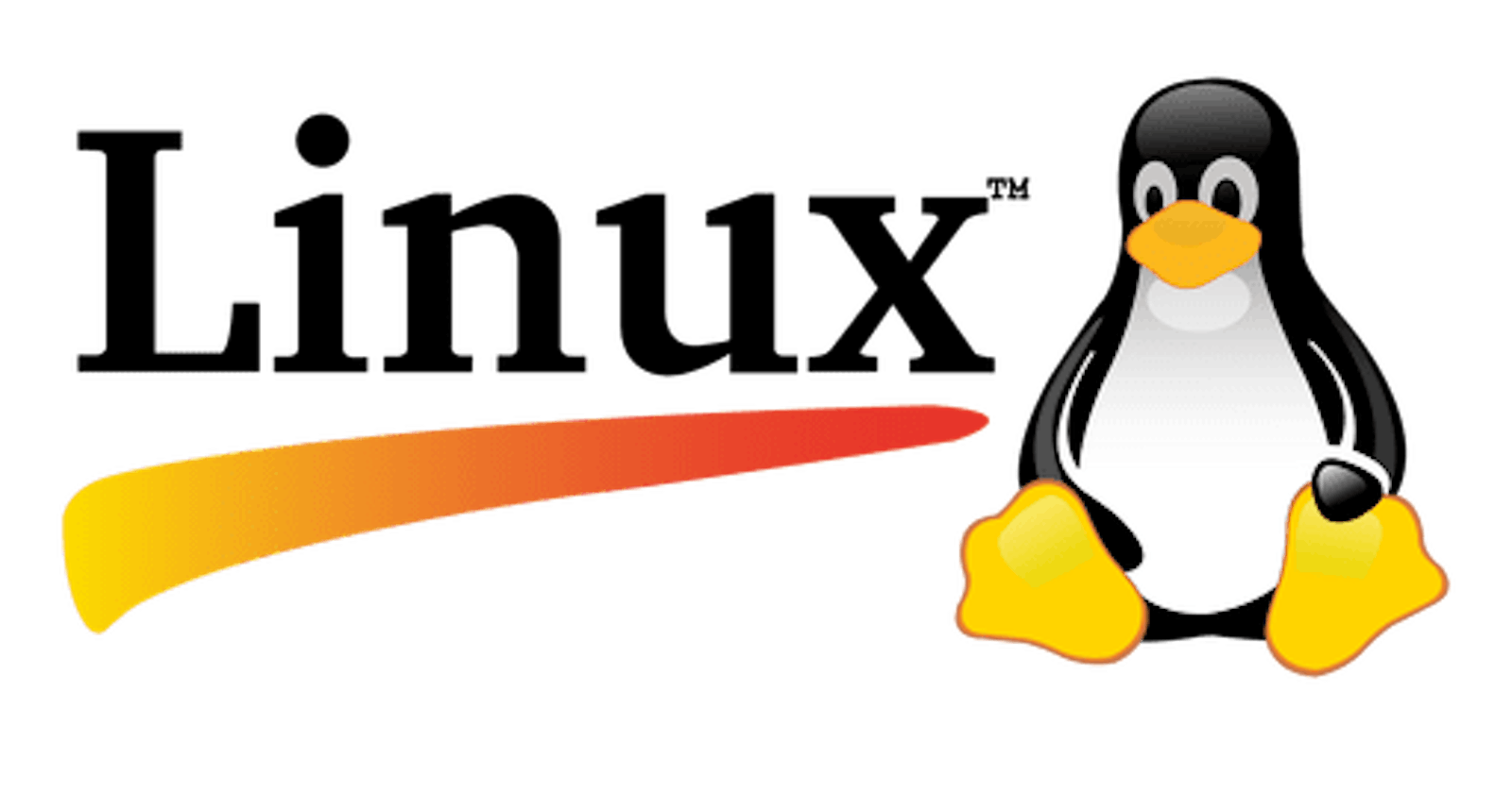 10 Linux commands you should know