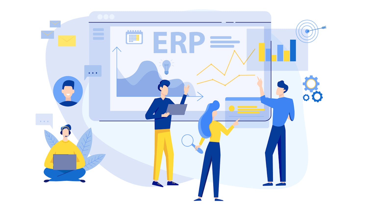 ERP from a developer perspective