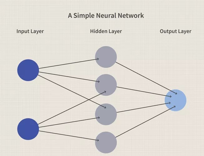 neuron net.jpg