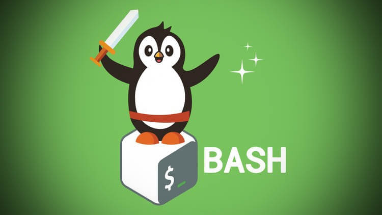 1618858161_bash-mastery-the-complete-guide-to-bash-shell-scripting.jpg