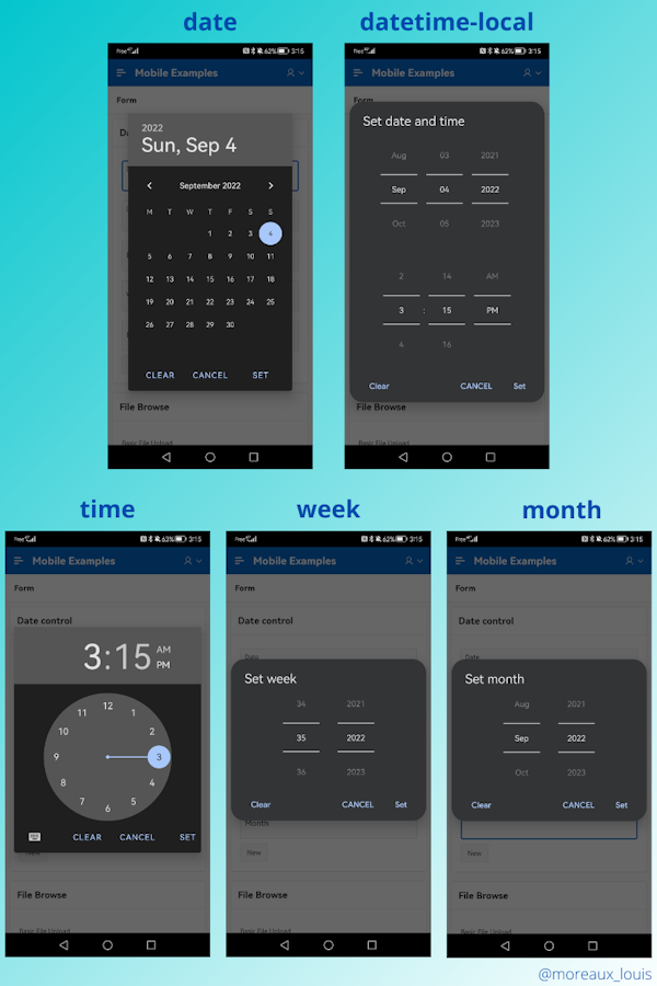 Screenshots displaying the 5 differents types of input date, datetime-local, time, week and month with their specific UIs