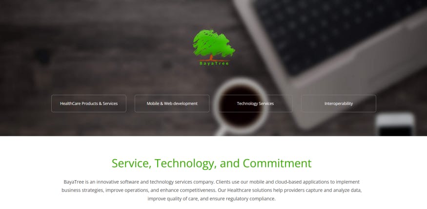 BayaTree Infocom — Software Development Company in Mohali/Chandigarh