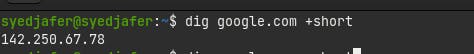 dig google.com +short
