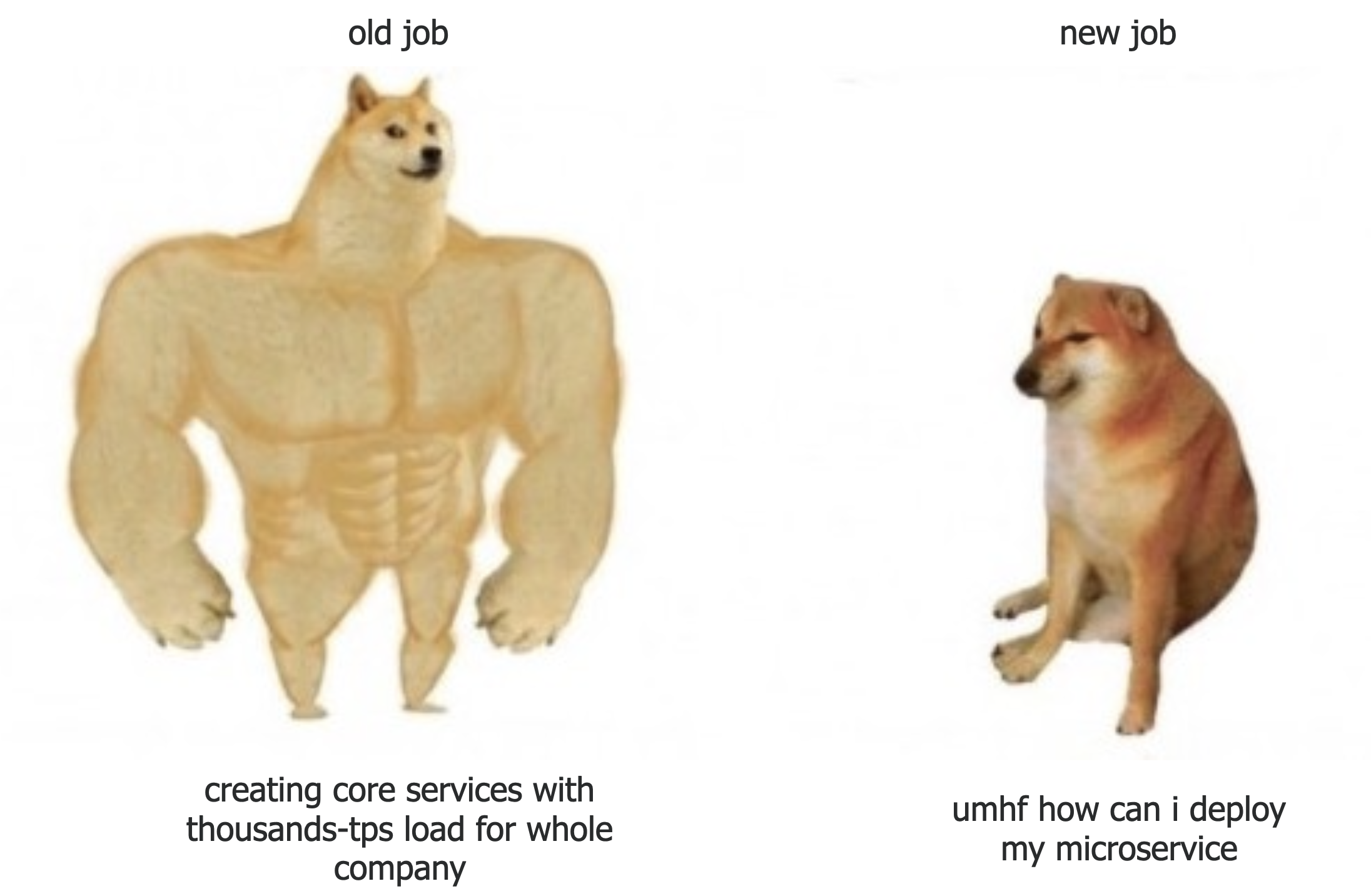 dogs_eng.png