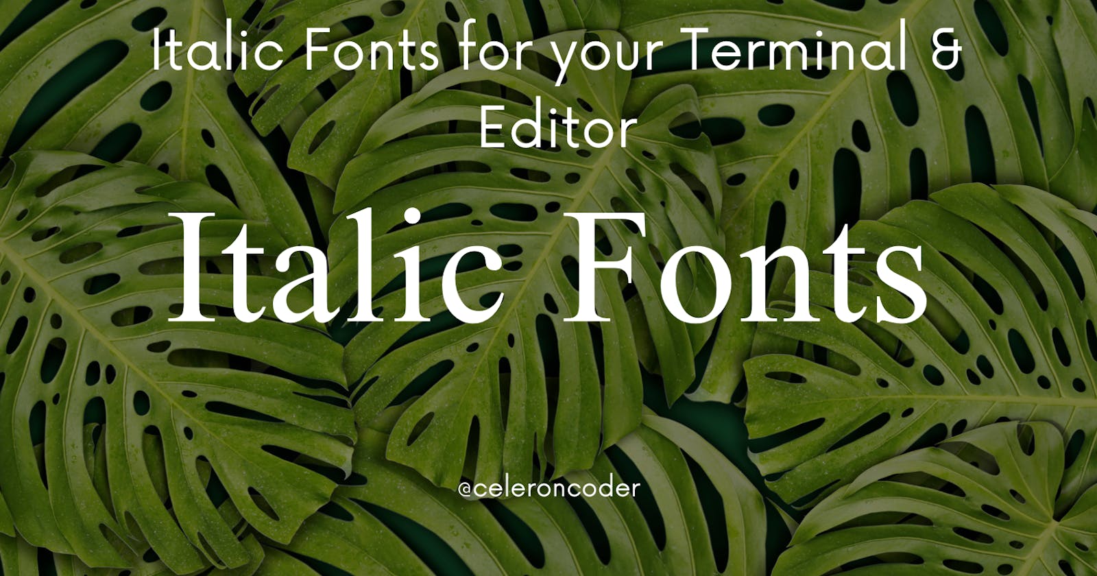Italic Fonts