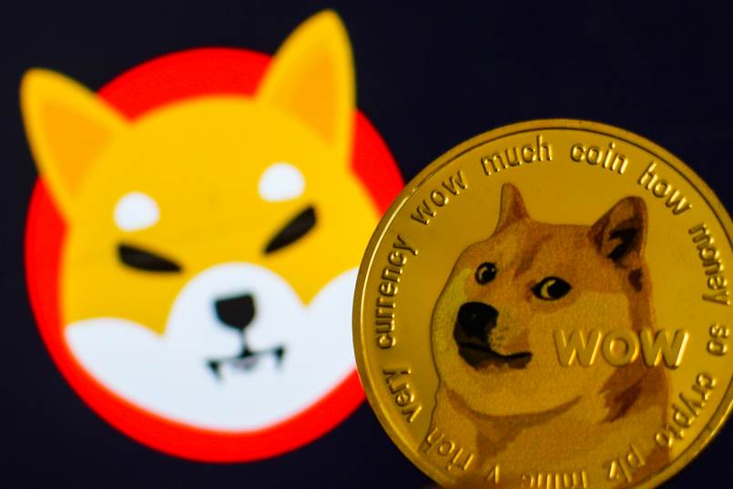 Meme coin - Shiba inu coin