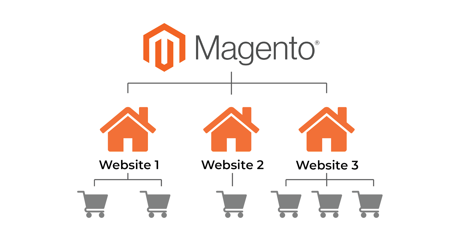 Magento 2 Multistore VS Multiwebsite: Strategy And Features