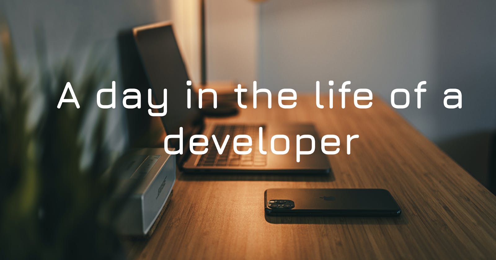 A day in the life of a developer