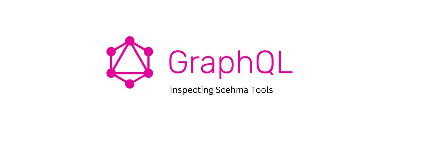 Inspecting GraphQL Schema