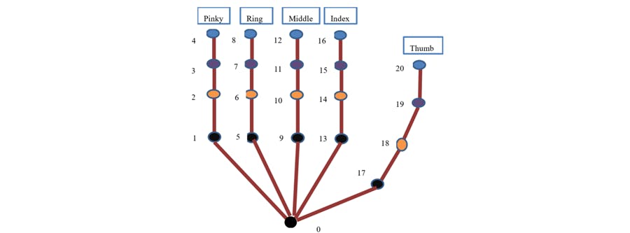 Hand skeleton diagram.png