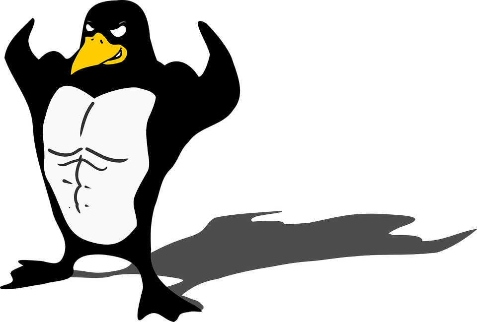 penguin-149971_960_720.png