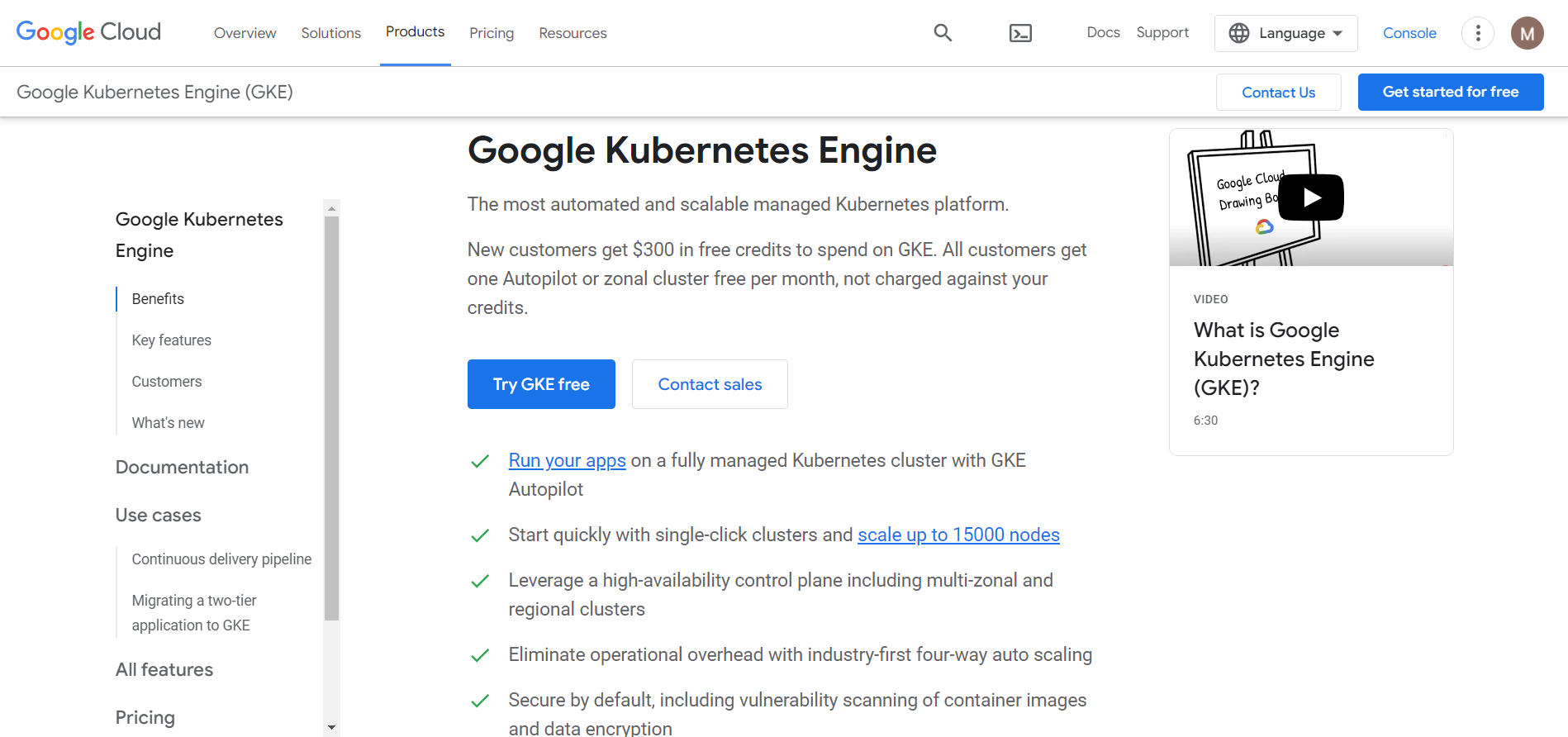 Kubernetes - Google Kubernetes Engine (GKE)  _  Google Cloud.png