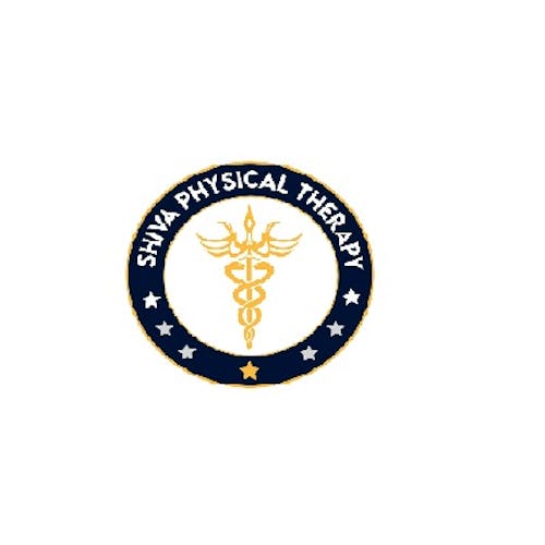 Shiva physical Therapy's blog