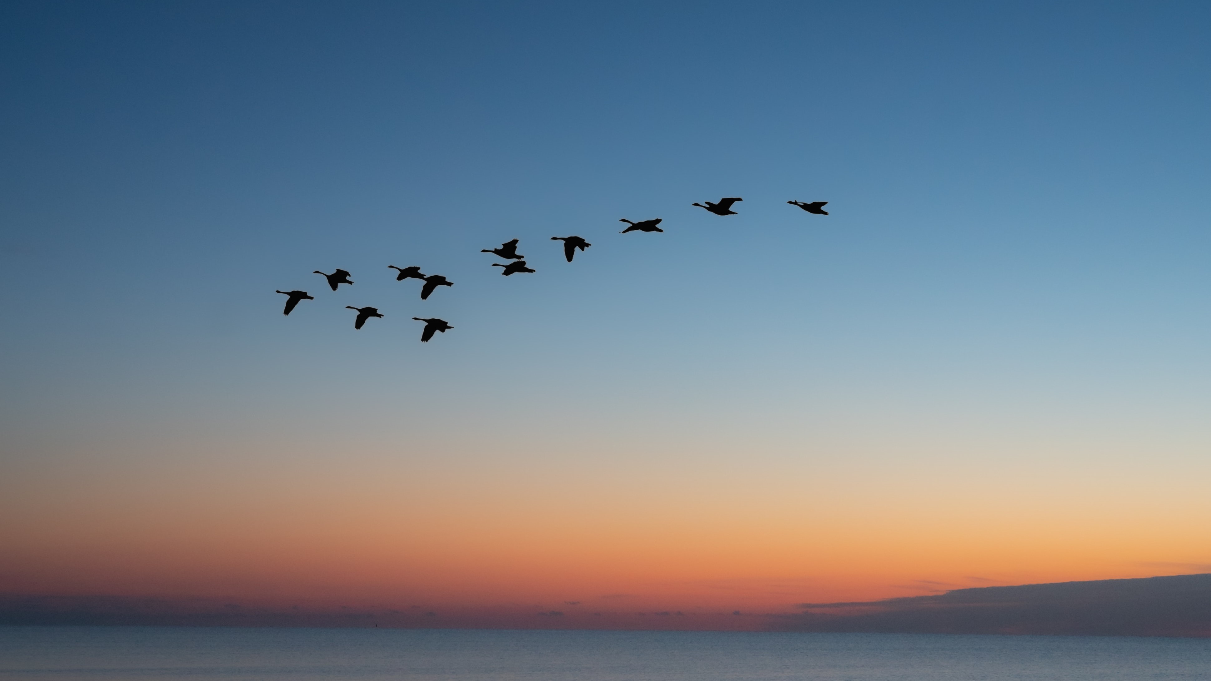 Migrating to hashnode