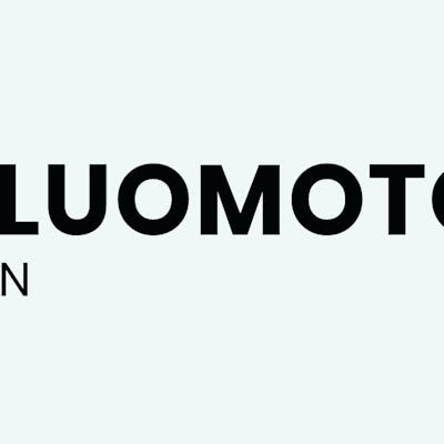 THE OLUOMOTOSO PLATFORM