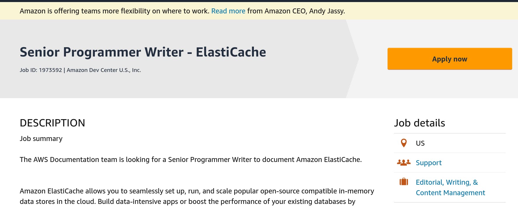 Amazon Programmer Writer job description