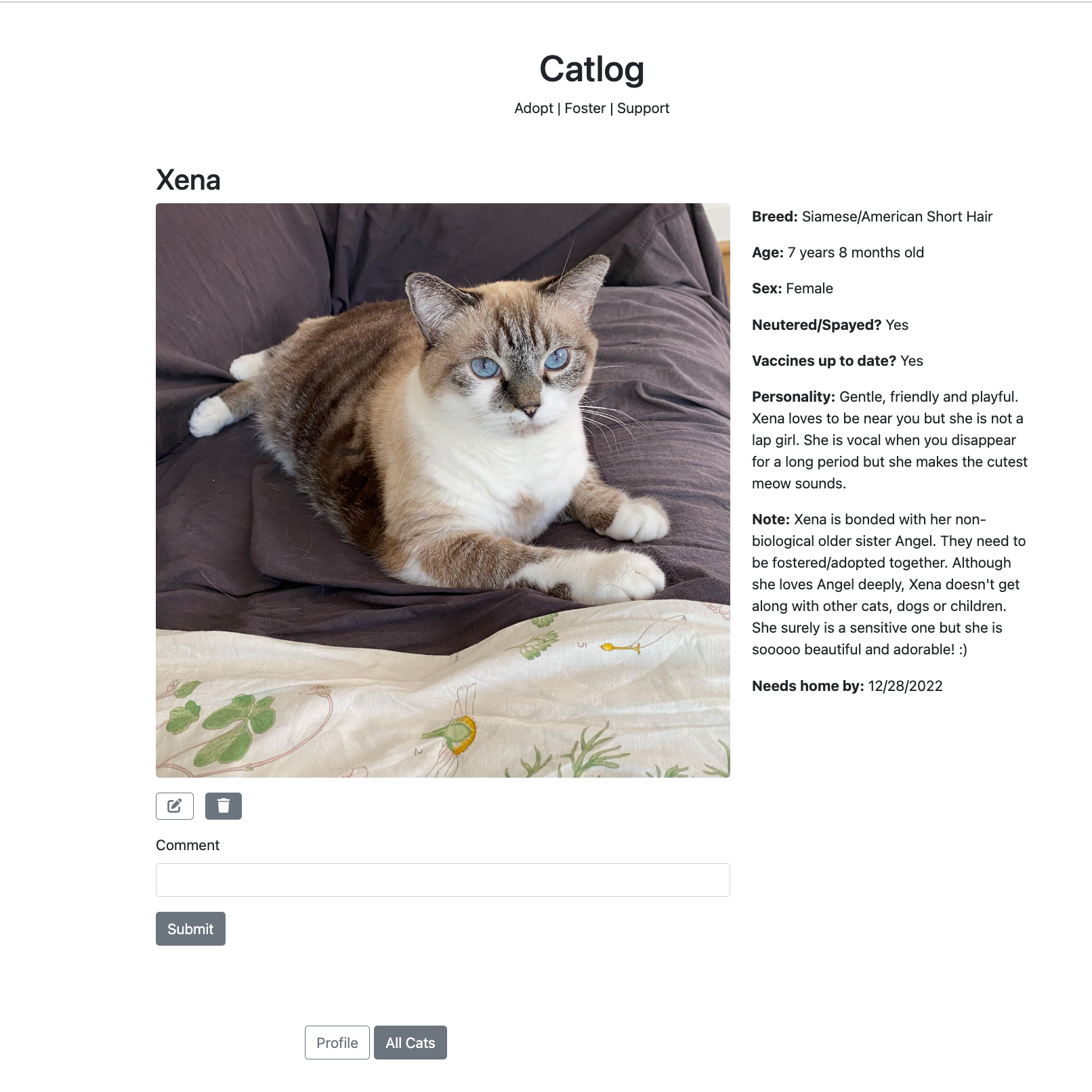 Individual Cat Page Screenshot