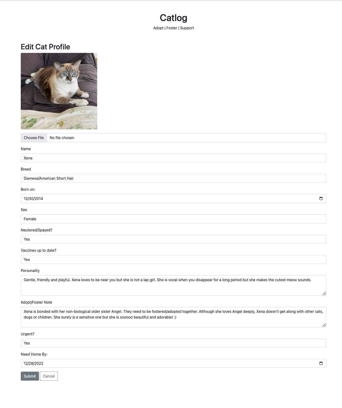 Edit Cat Profile Page Screenshot