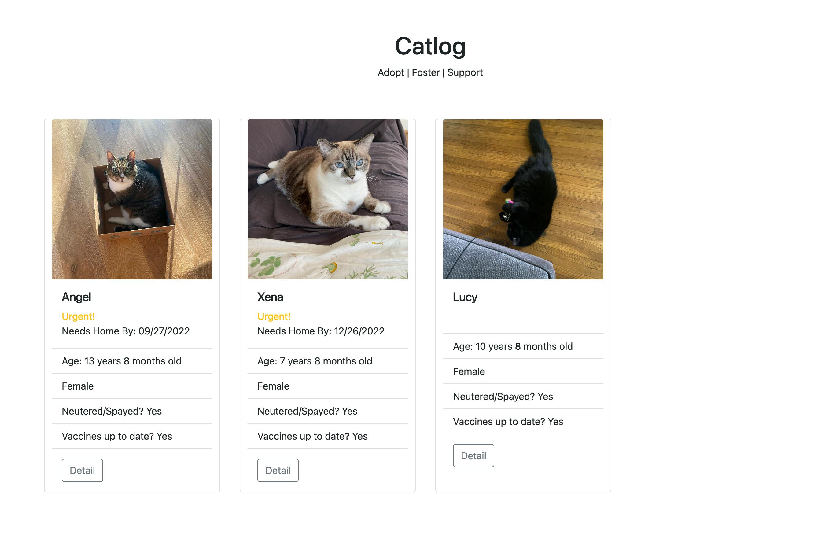 All Cats Page Screenshot