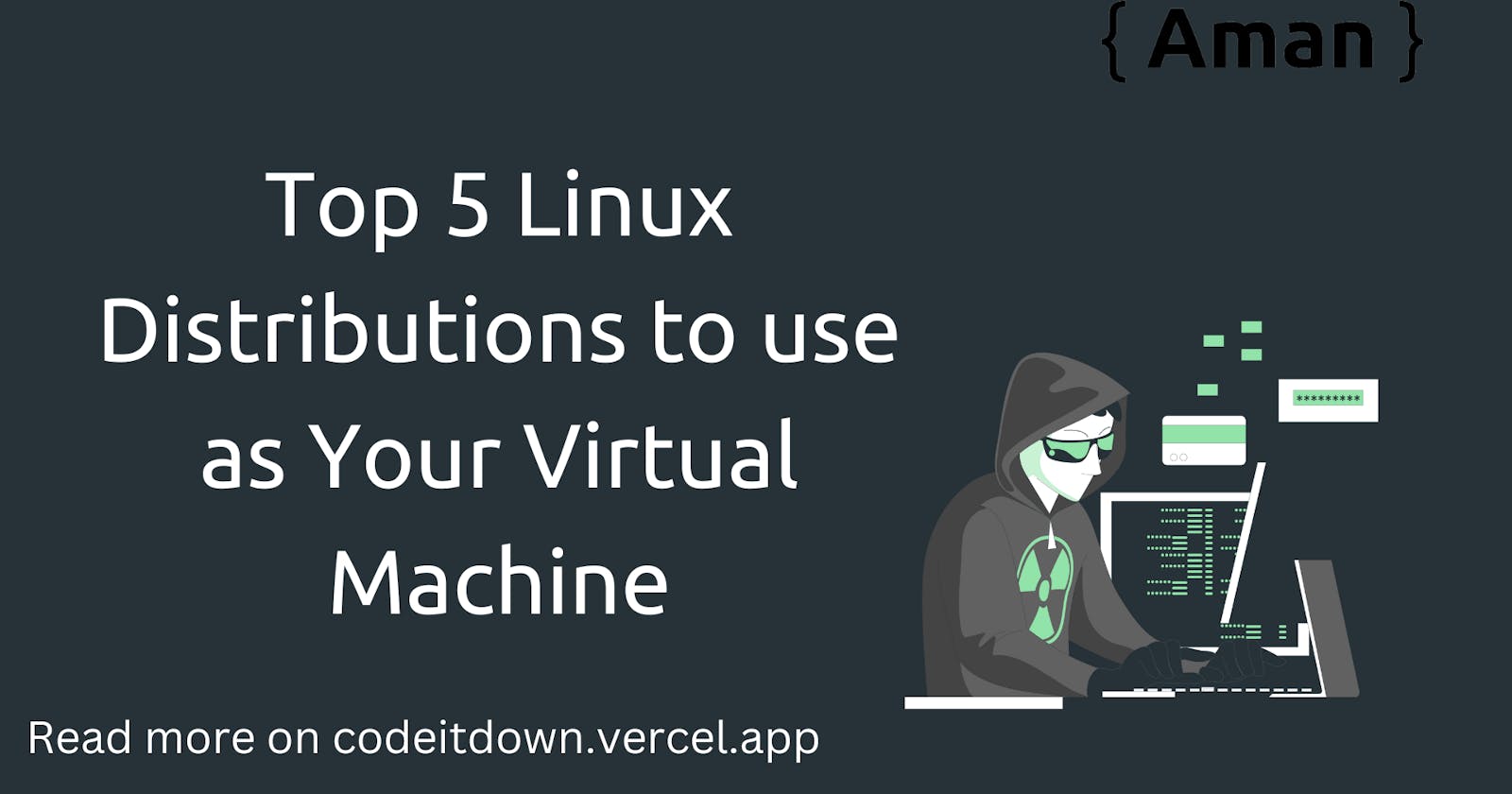 Top 5 Linux Distributions to use as Your Virtual Machine
