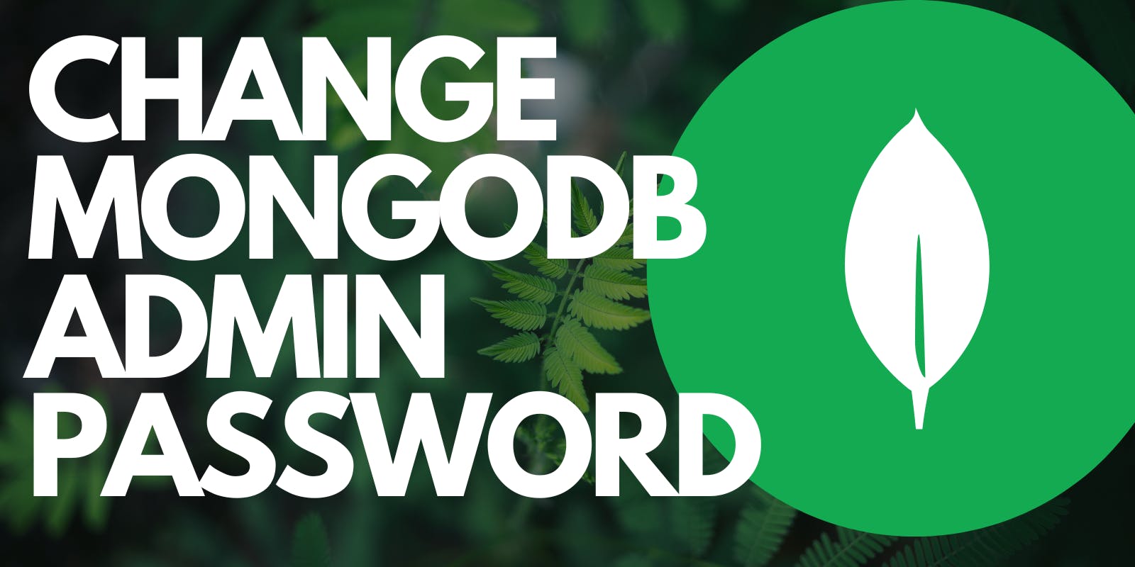 How to change MongoDB Admin Password